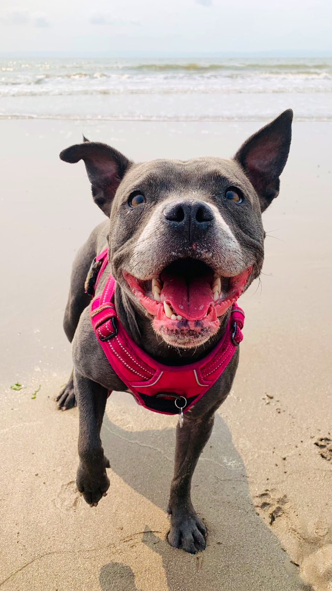 IsaMary2021's tweet photo. Breaking news: Iโm at the beach. Iโm being the very goodest I can be ๐คฉ๐๐๐ #IsaMary #BestBehaviour #GoodGirlsGoToTheBeach https://t.co/dIMQCo9Sk3