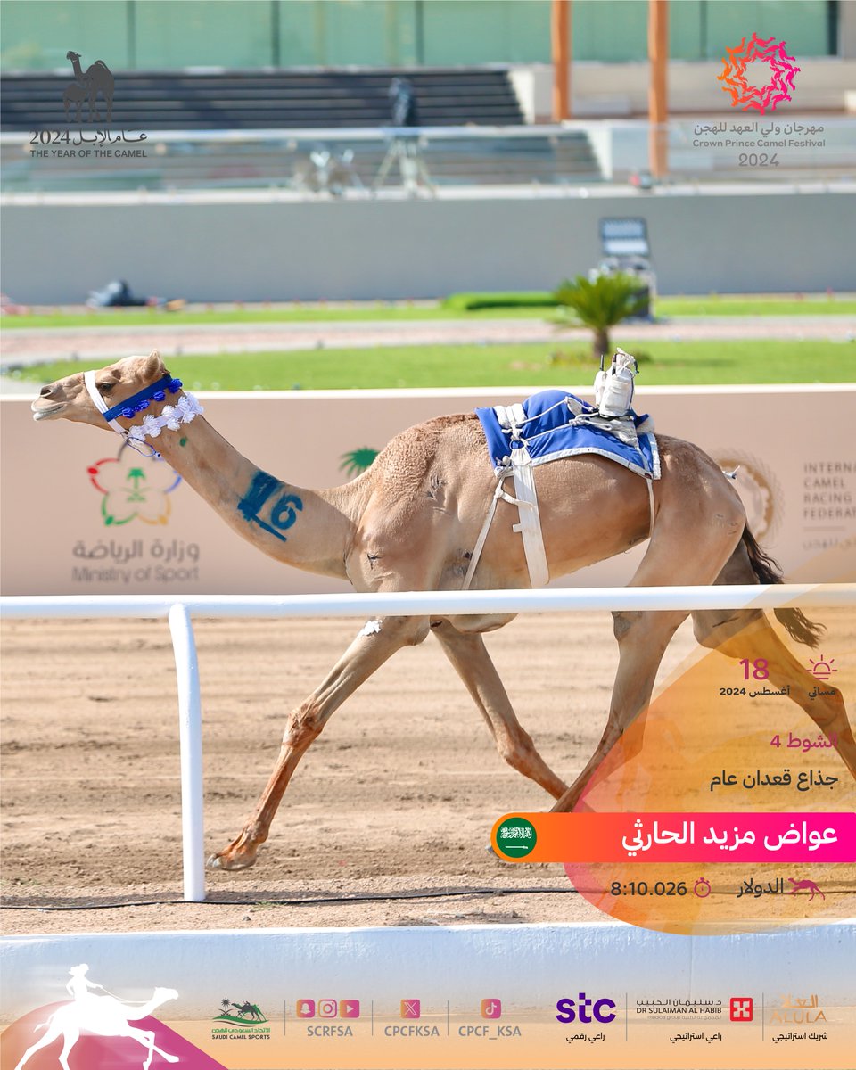 أشواط الفترة المسائية للسباق التمهيدي:

🐪 الدولار
◽️عواض مزيد الحارثي
🏁 الشوط الرابع (جذاع قعدان عام) 
🕒 (8:10.026)
🎥 youtu.be/IJi60dOUGm4?si…

#مهرجان_ولي_العهد_للهجن 2024
#عام_الإبل_2024