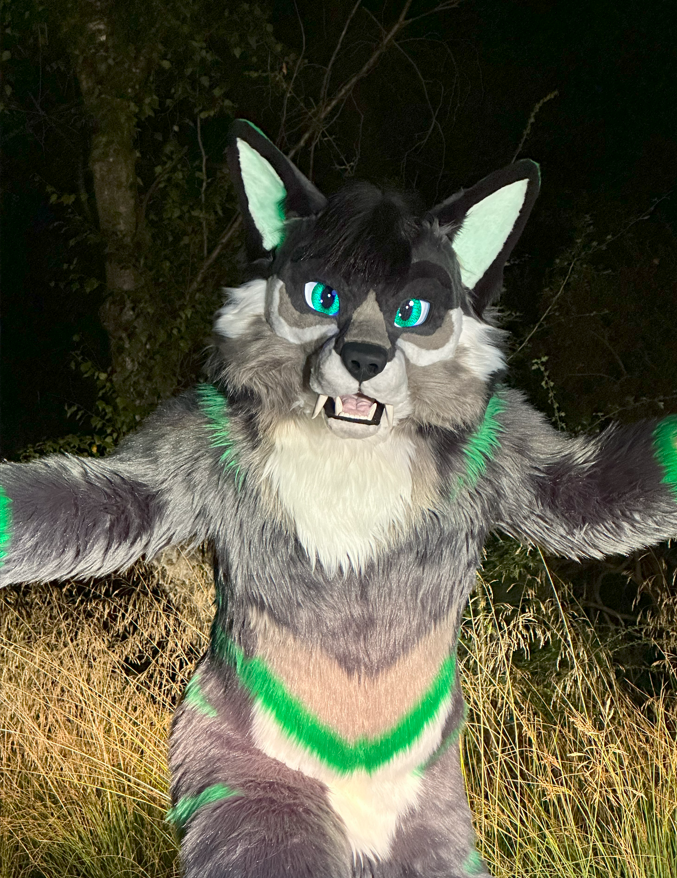 Corasik2's tweet photo. Caught in the headlights, Watch out when driving in the Forest of Dean #beastoftheforest . Are you brave enough to track down a wild sabrewolf hunting at night? #fursuiting #sabertoothsunday https://t.co/5KxgRzAar3