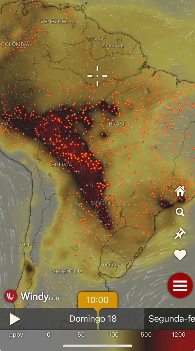 Diogotapuio's tweet photo. Para desmatar e queimar a Amazônia, é preciso ter muita grana para mobilizar maquinários, insumos, trabalhadores, corrupção, eleição de bancadas, etc. Enquanto a fonte de financiamento de distintas atividades criminosas não cessar, a Amazônia seguirá virando carvão. https://t.co/QTMuhvYqHG