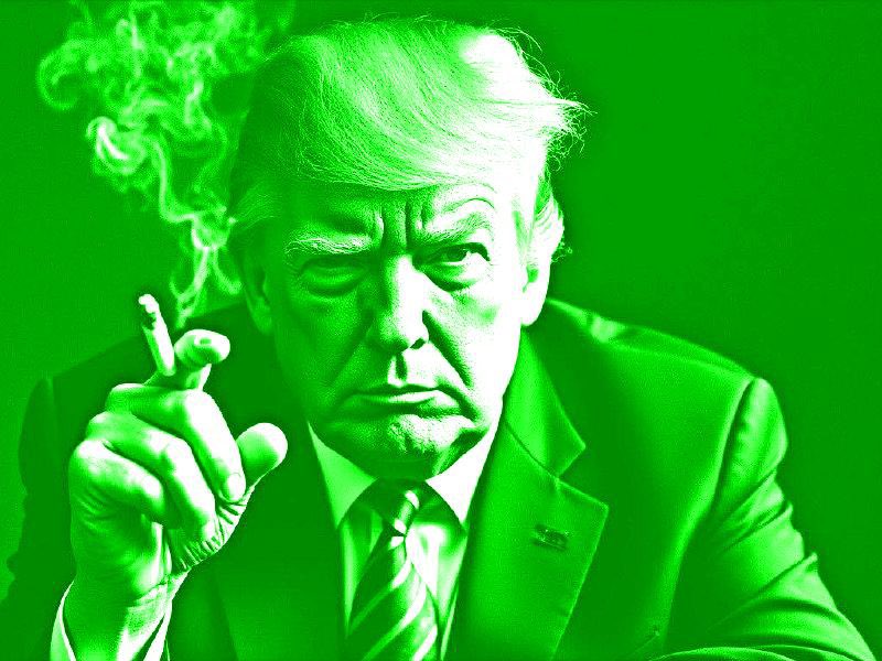 🟩🧃 Ecto Cooler 🧃🟩 tweet media