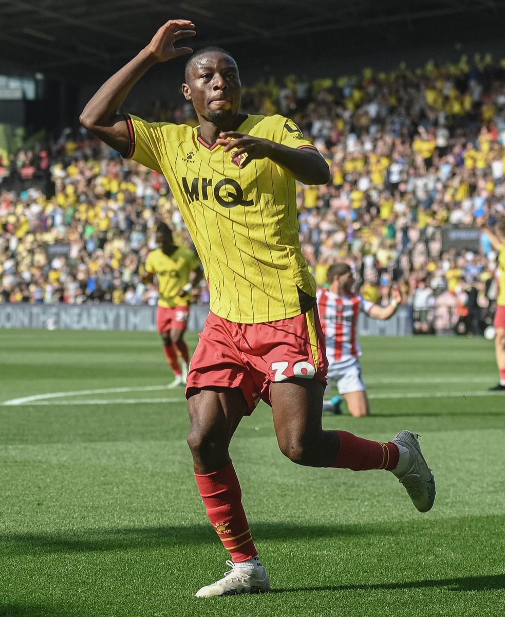 Champ Chat tweet media