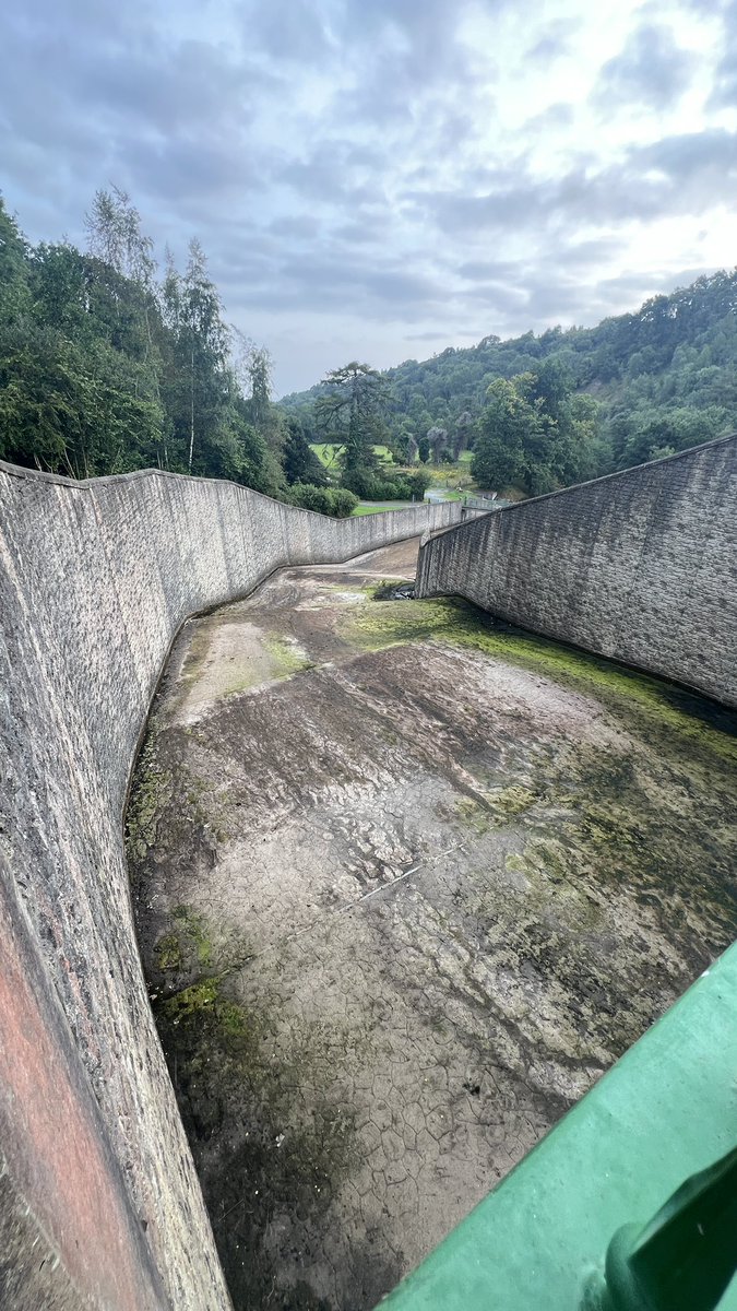 Olly's Farm | Honey Farm 🇮🇪 tweet media