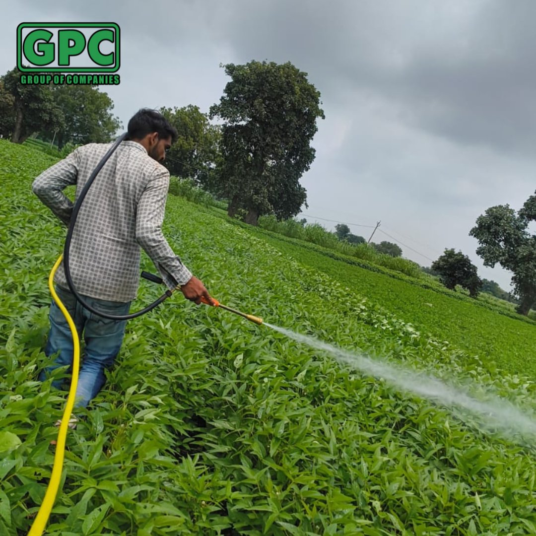 GPC_group_'s tweet photo. 😊 A Happy farmer who used our Raftaar Super Insecticide on their soybean crop had an amazing Result!
Seeing how happy our products make our customers is the best feeling ever. Your success is our success. Thank you for your kind words and for being a part of the GPC family! https://t.co/N703L2e9sd