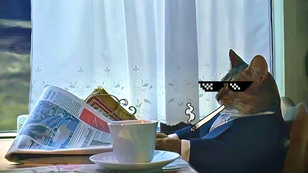 Web3withCJ's tweet photo. @lynk0x Don't fade the best reddit cat $bizzy https://t.co/4kzCDNq6v3