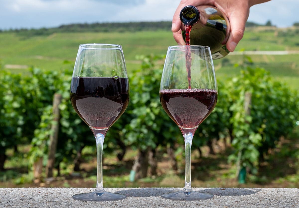 Vinirefera's tweet photo. What a wonderful coincidence! It’s Pinot Noir Day and Fajita Day. I know what will be on my table today. Love Burgundy, Oregon and New Zealand Pinots. How about you? https://t.co/n0Twc9DmE7