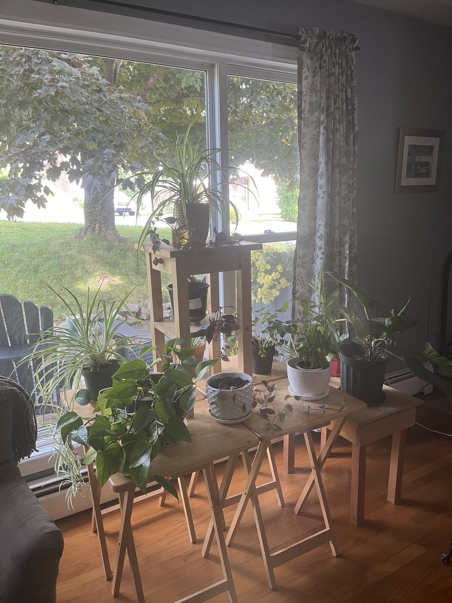 Sarah Wilbur tweet media