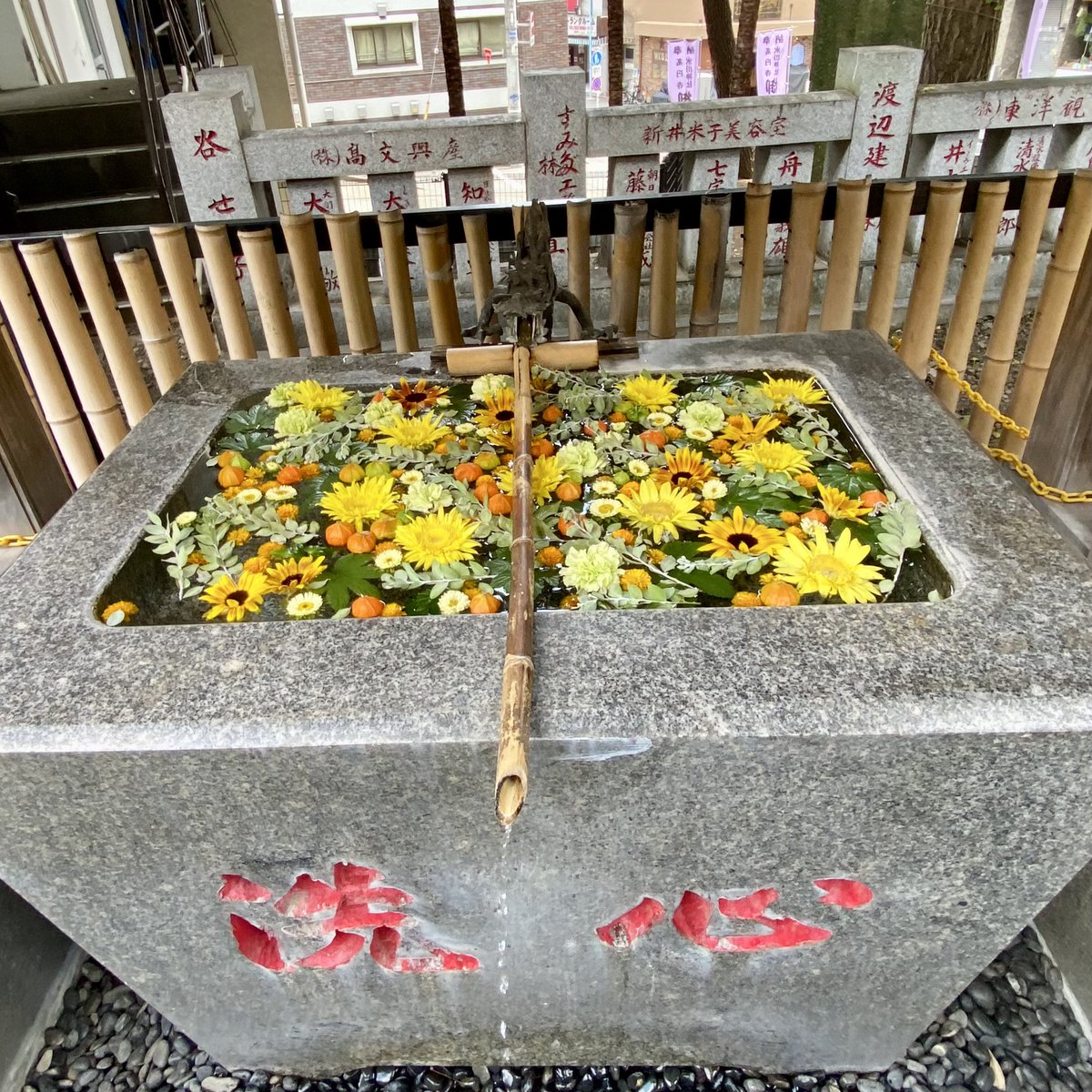 chimakihan's tweet photo. 高円寺の氷川神社と気象神社でお詣り
氷川神社の境内に気象神社があります。
高円寺駅のすぐ近くにありなかも、静かで落ち着ける神社でした。
ご朱印は書き置き。
#お詣り #参拝 #神社 #神社仏閣好き #御朱印 #高円寺氷川神社 #気象神社 https://t.co/1lZo8wZX84