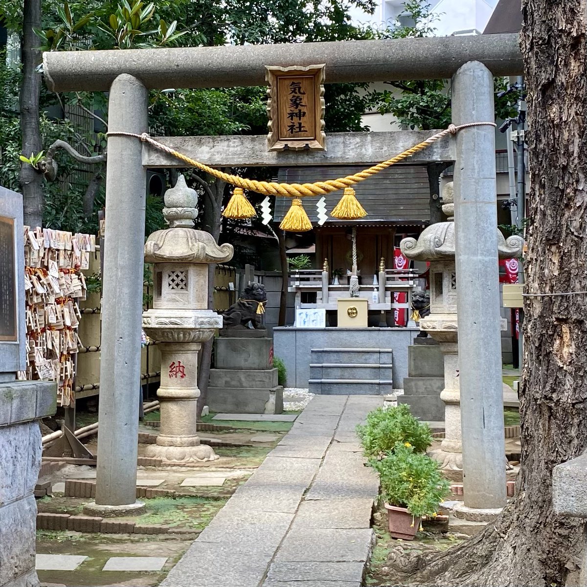 chimakihan's tweet photo. 高円寺の氷川神社と気象神社でお詣り
氷川神社の境内に気象神社があります。
高円寺駅のすぐ近くにありなかも、静かで落ち着ける神社でした。
ご朱印は書き置き。
#お詣り #参拝 #神社 #神社仏閣好き #御朱印 #高円寺氷川神社 #気象神社 https://t.co/1lZo8wZX84