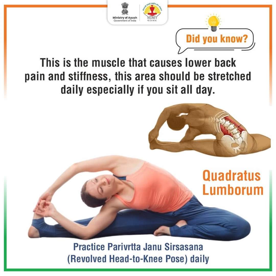 mdniy's tweet photo. Do you have lower back pain? Practice Parivrtta Janu Sirsasana, a simple yet powerful Yoga pose that can bring relief!

#YogaForBackPain #LowerBackRelief #ParivrttaJanuSirsasana #YogaPosesForPainRelief #BackPainSolutions #YogaHeals #RelaxAndUnwind #HealthyHabits #back #yoga #tending #MuscleGoals #pain