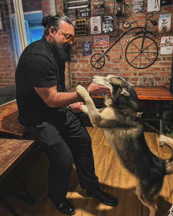 ianiketchouhan's tweet photo. *Crave for Class and Classics* 🧿✨️😎
LIVE. PRAY. HUSTLE.
#kanguva #naturalbodybuilding #burningman #gangster #mafia #staystrong #actorlife #villian #gym #fitness #aesthetic #beard #attitude #beardmodel #kollywood #tollywood #bollywood #tamilcinema https://t.co/XEmqdhm57I