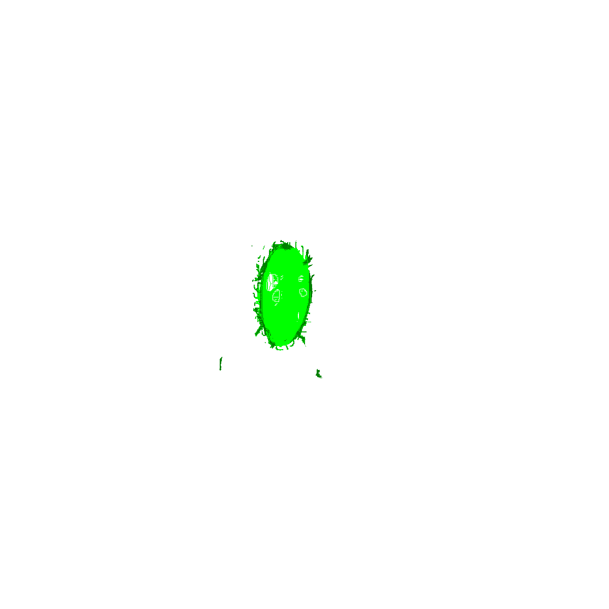 RrRrRrRrRTRrR's tweet photo. 画像の大きさを調整してピントを合わせ、ダンシング微生物の動きを観察しましょう
(Twitterではピントが合うまで縮小しきれない場合があります) https://t.co/rpNh0sySxb