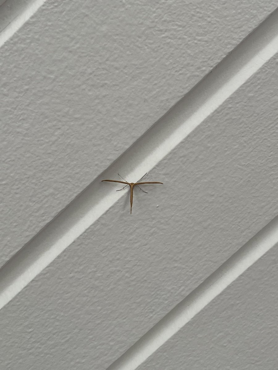 thomasbs's tweet image. Morten @MortenDDHansen - den her sidder i vores stue, og vi kan ikke nøgle den med din og Oles bog… hvad pokker er det?