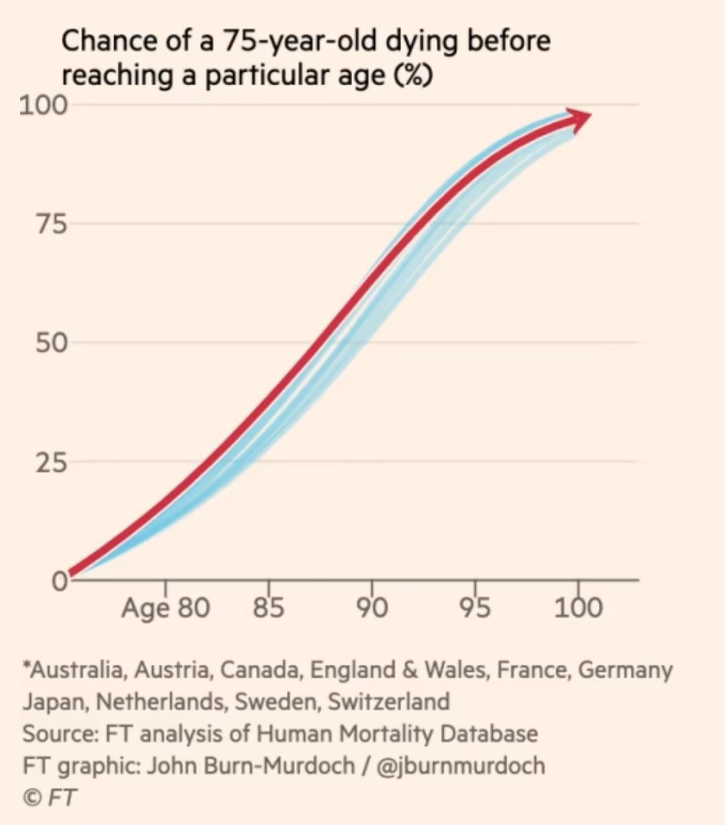 Bernard Stanford ✡︎ tweet media
