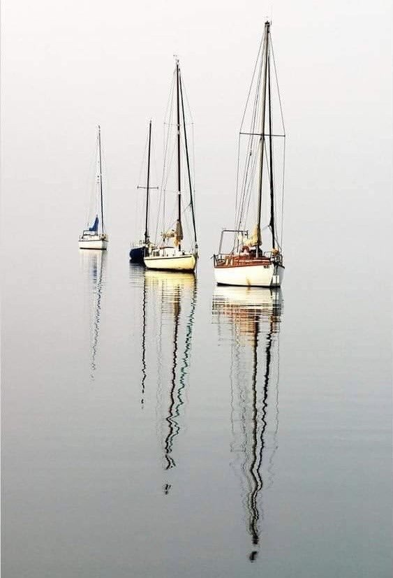 MissCelaneaOne's tweet image. Summer