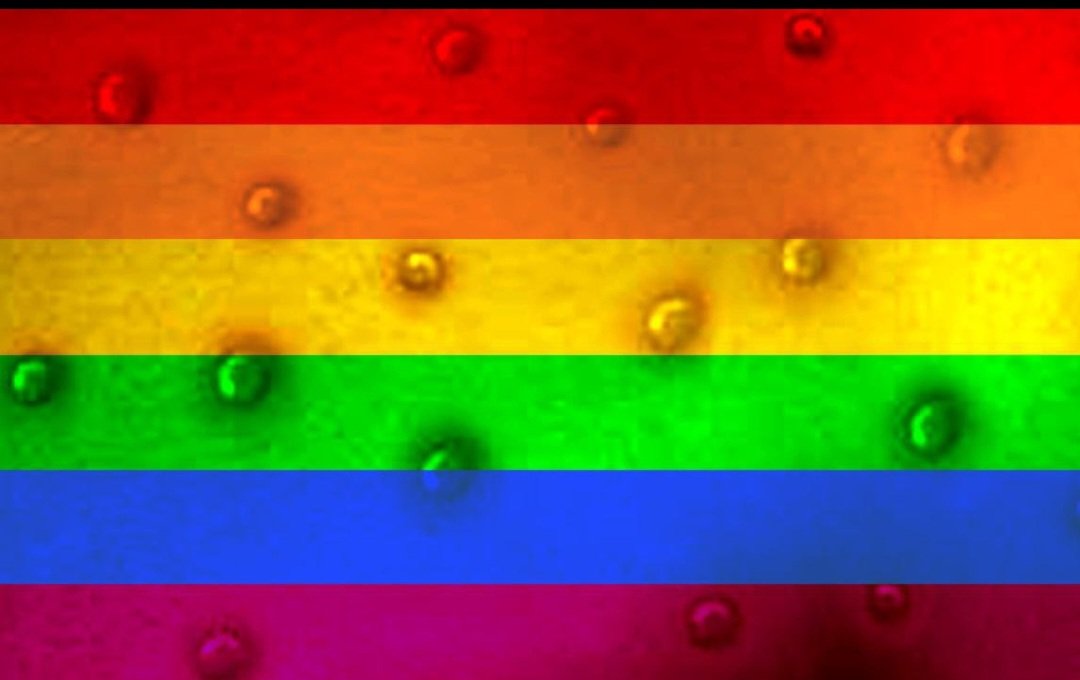 TrazelJ89486's tweet photo. @adamfare1996 Exactly remember the dirty gays pass mpox around, not monkeys. https://t.co/jIr8dGe9ji