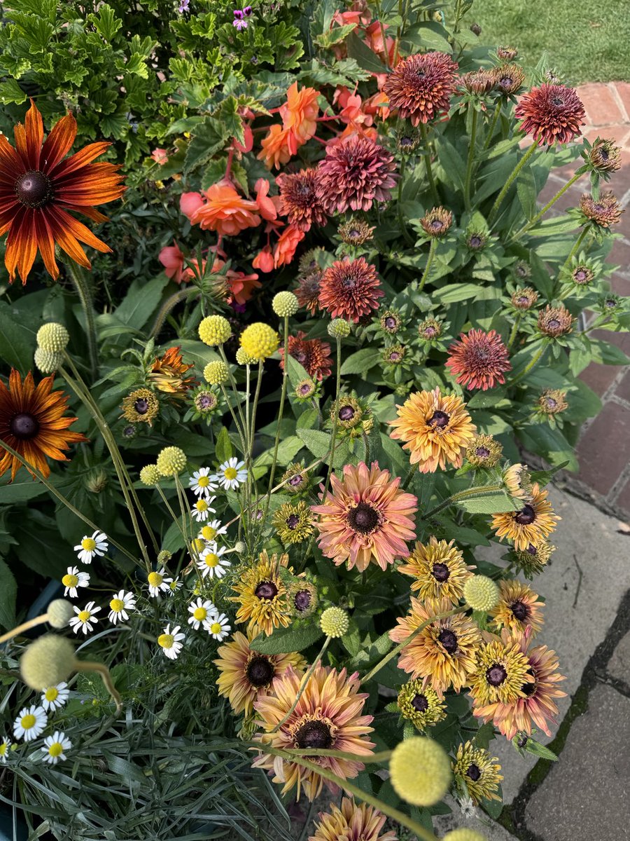 Garden Brocante tweet media