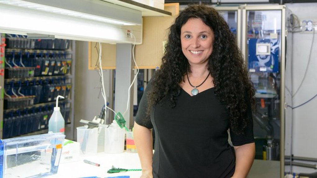 Zebrafish Rock! tweet media