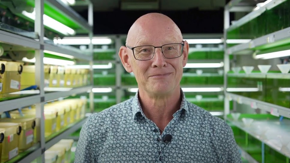 Zebrafish Rock! tweet media