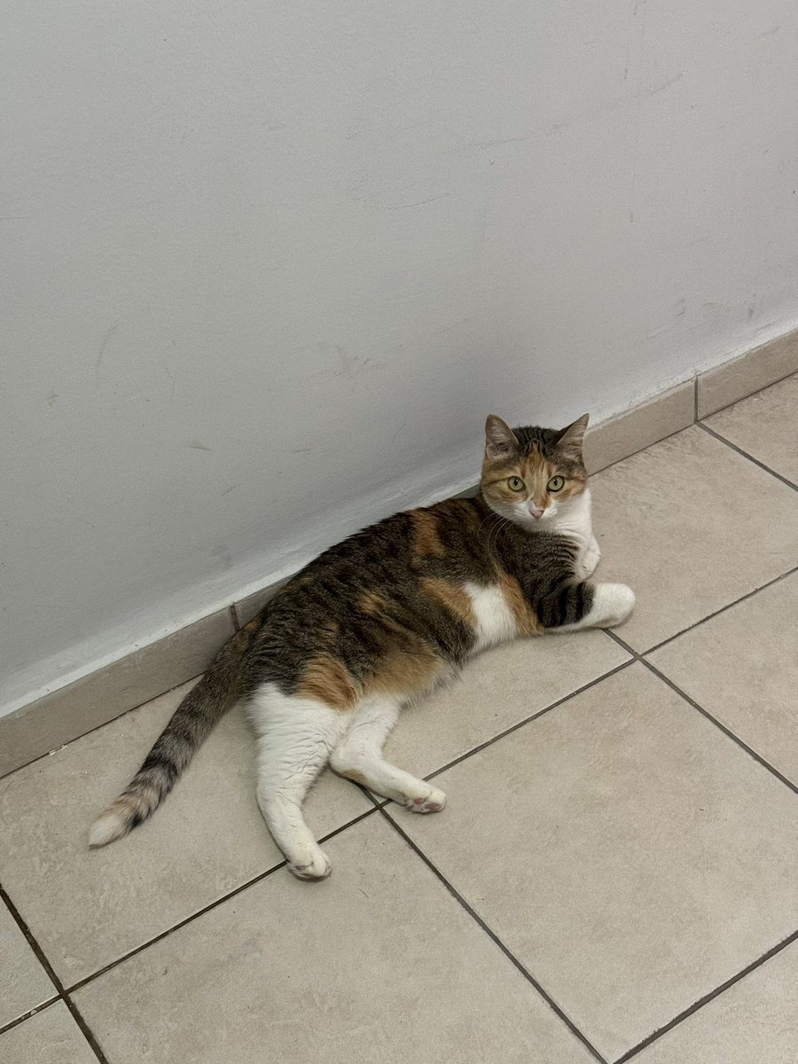 Evde klimamı açmadkları içim binada yatmayı terch ettm