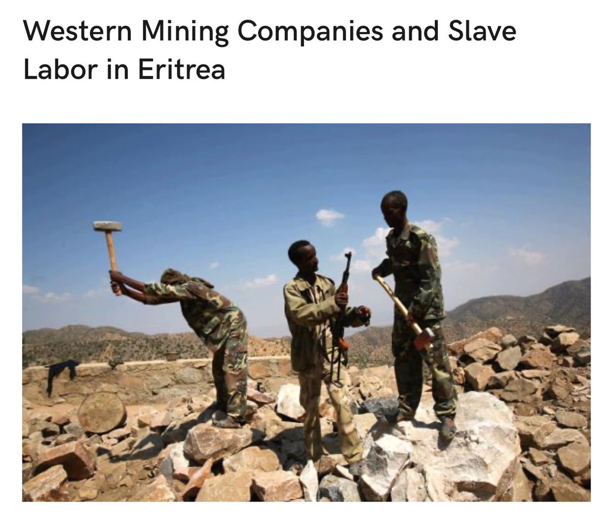 Amanuel192's tweet photo. #Eritrea is a totalitarian dictatorship and is usually called Africa's North Korea. Isayas Afewerki has ruled the country with an iron fist since independence in 1993. There is no constitution, no parliament, no independent media and only one party is allowed. 

There were great hopes for democracy and development in Eritrea at the time of independence in 1993. Eritrea has developed into an authoritarian one party state where all power is concentrated in Isaias Afwerki and his allies. 

Political opposition is not tolerated. Freedom of speech, press, meeting and association is limited. Those who practice unregistered religions, try to flee the nation or escape military service are arrested and imprisoned. According to Amnesty International, Eritrea is one of the world's most repressive countries.

#Eritrea 
#BlueRevolution #TransnationalRepression 
#Eritrean_Justice_Seekers