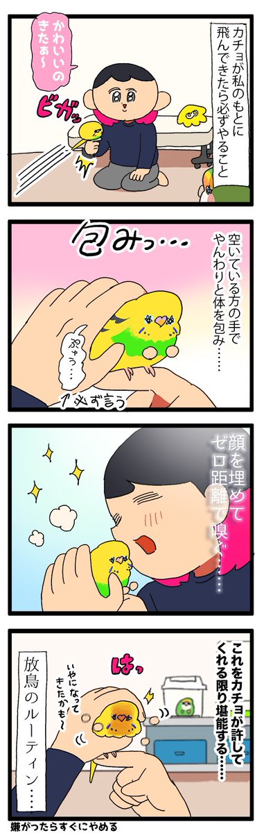 カチョちゃん、しばらく無抵抗に握らせてくれるのを良いことに吸いまくりの飼い主です……😮💨😮💨
1898 #えるポピの絵日記かくところ