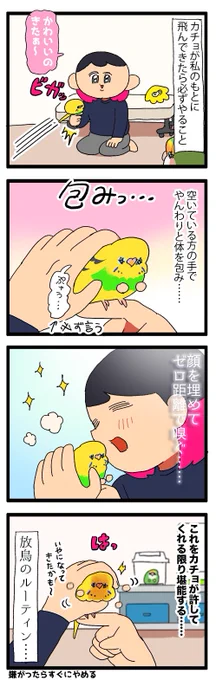カチョちゃん、しばらく無抵抗に握らせてくれるのを良いことに吸いまくりの飼い主です……😮‍💨😮‍💨

1898 #えるポピの絵日記かくところ 