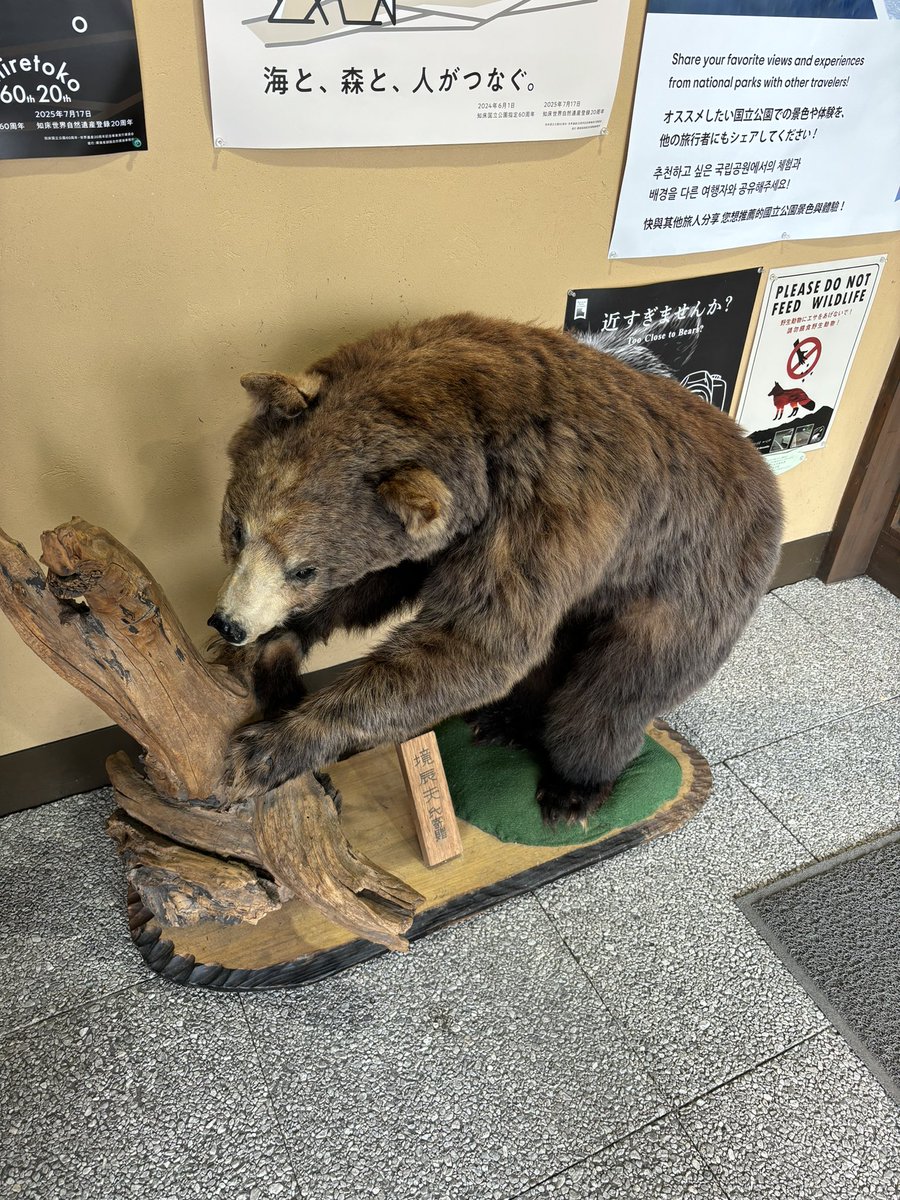 ekzel55's tweet photo. 釧路2日目
今日も自然と戯れる https://t.co/zVzz6pU4Ay