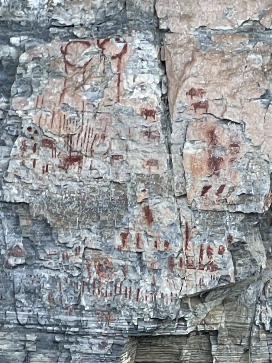 Michael Punke tweet media