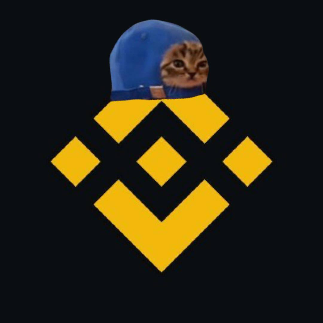 CatCapCTO's tweet photo. @binance C for $cap https://t.co/ywk2Kxsuae