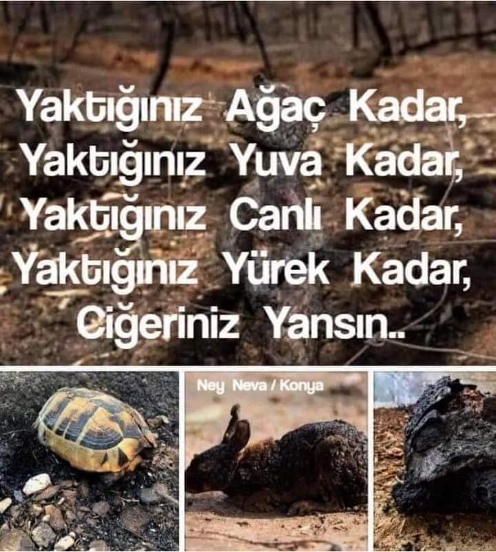 Yakanlarda Böyle yansın
Dilerim
GEÇMİŞ OLSUN GÜZEL VATANIM,😥😥😥😥😥
CEHENNEME CEVİRENLERE LANET OLSUN..