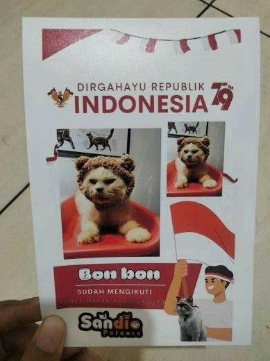 KO DIA BISA NURUT DI PAKEIN AKSESORIES BEGITU?