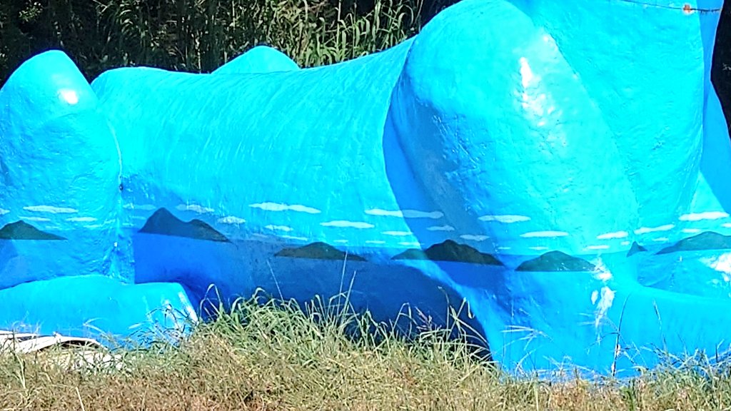 ssk2744's tweet image. こやつ、ただ青いだけかと思ったら、、、
瀬戸の島々が描かれててた😊

#bluedog