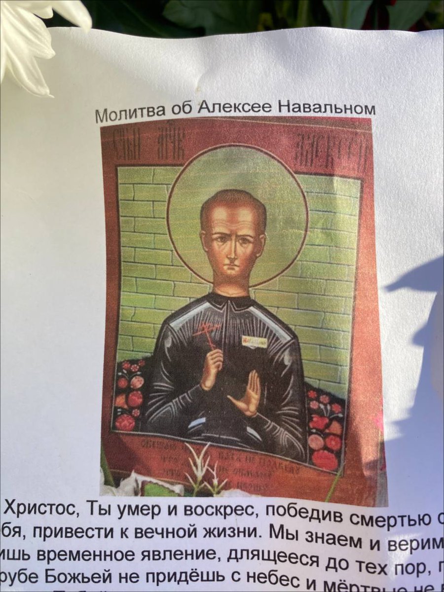 Maria Antonova tweet media