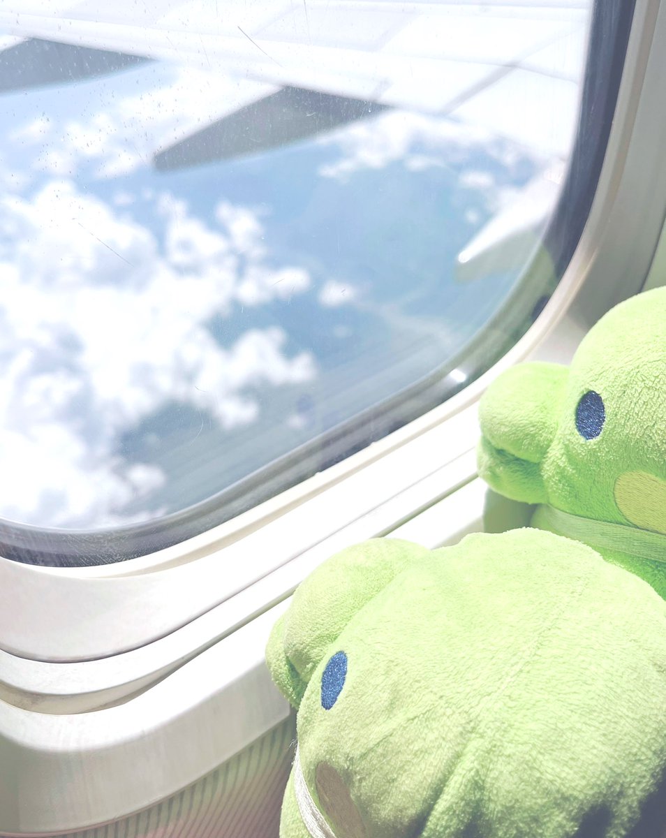 kuchi_8's tweet photo. 楽しい夏休みだっただっちね https://t.co/5HBYjTT2kq