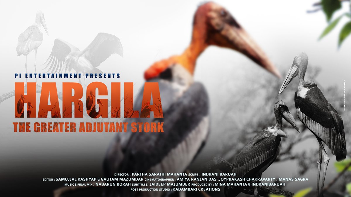 #Hargila  won the #specialjurymention in the #70thNationalAwards. The film is Directed by Partha Sarathi Mahanta &amp; Produced by Mina Mahanta &amp; Indrani Baruah. Happy to be a part of this beautiful project since it's inception &amp; later as an Editor.