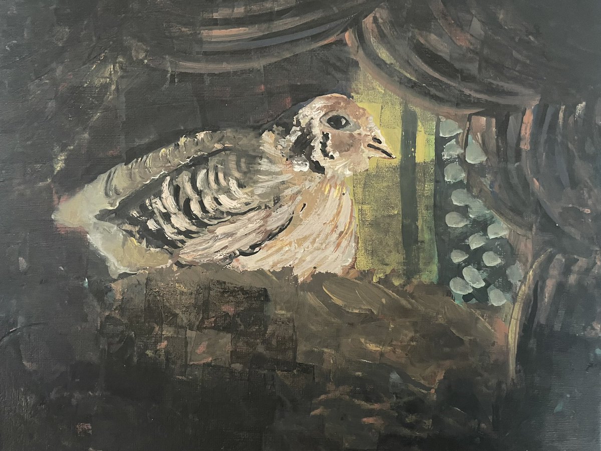 DrMarune's tweet photo. Just wanted to draw a quail
We have at home they cute my mother hold them the eggs are nice too

#art #traditionalart #quail https://t.co/s6wCGK5rt5
