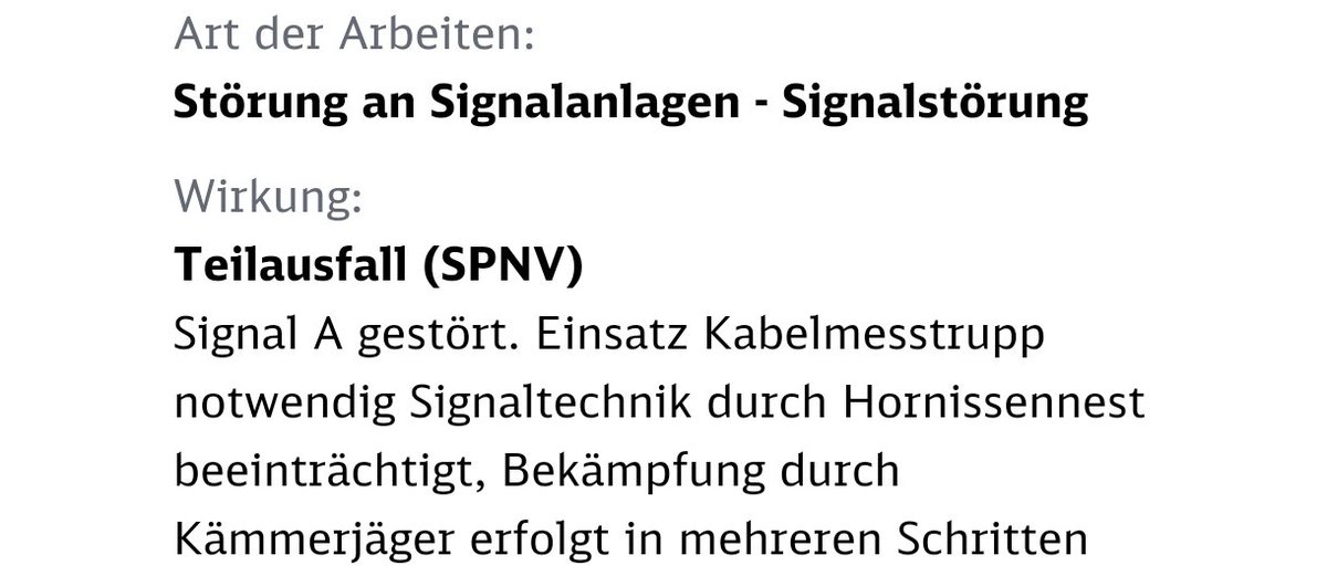 Der neue Feind der DB sind Hornissen 🐝