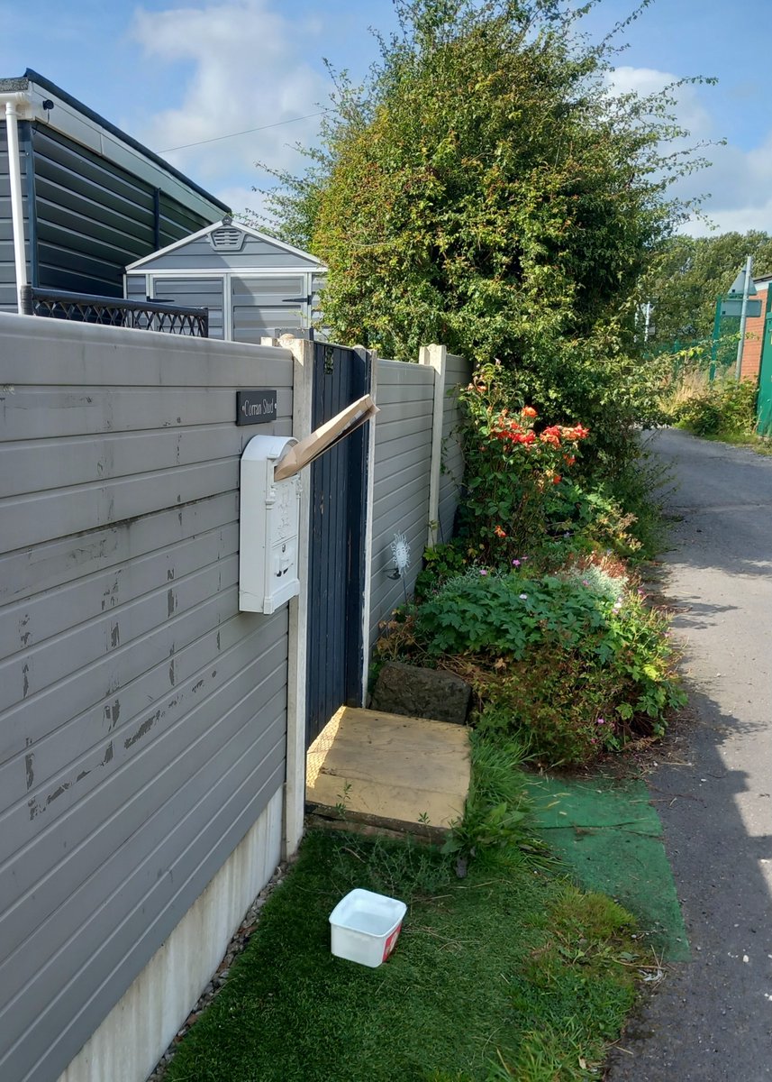 page3onrvr's tweet photo. Amazon Delivery Glad it's not valuable https://t.co/z8cui5Xm1B