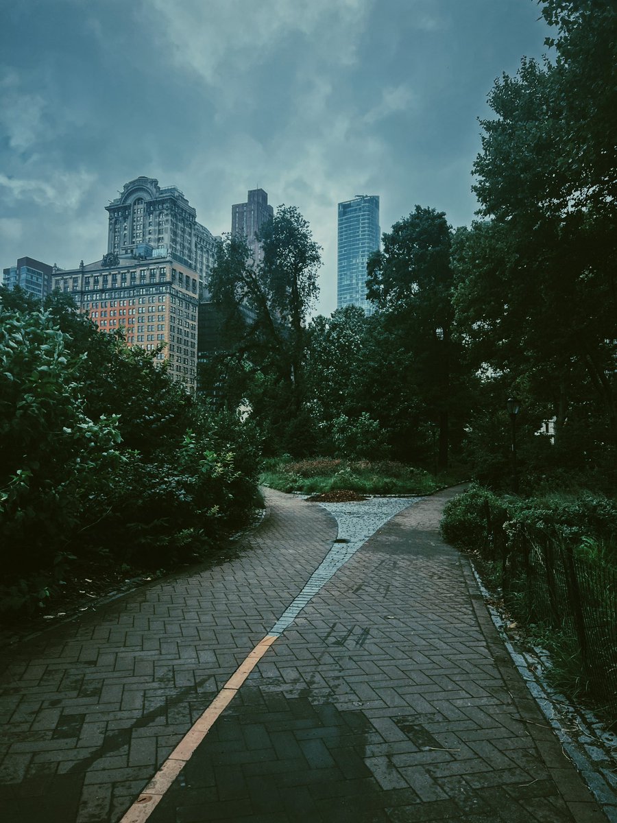 Kyle Anthony Miller tweet media