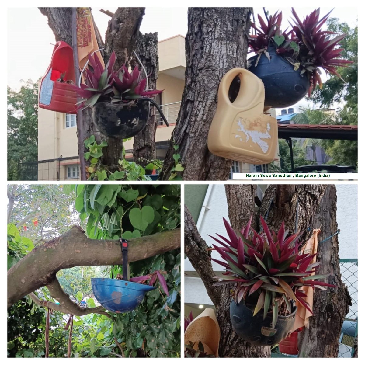 Jansewaks's tweet photo. Hanging planters from old waste helmets by @Jansewaks @narainsewa . info to @UNFCCC @UNEP @UN_SDG @aranya_kfd @moefcc @UNYouthAffairs @NASAClimate @ClintonFdn #generationrestoration #solutionfornextgen @ObamaFoundation @AmericanLungUT @AirQualityAsia @airqualityindia https://t.co/ojz0ou7Pl8