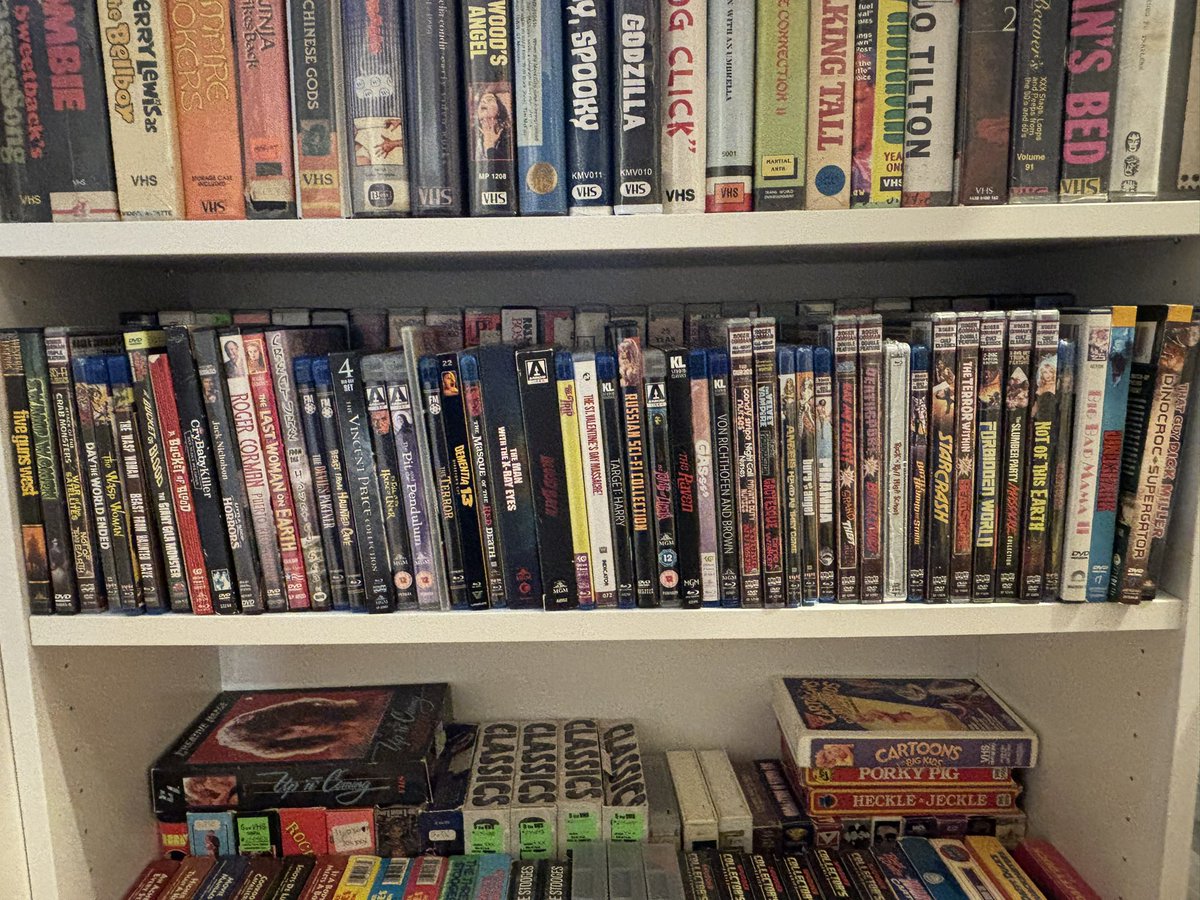 Will Sloan tweet media