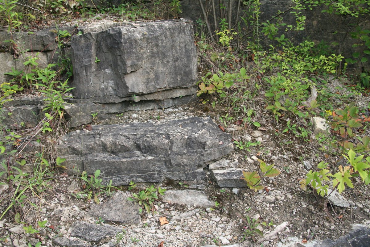 JonBick0's tweet image. It's Rock O Clock