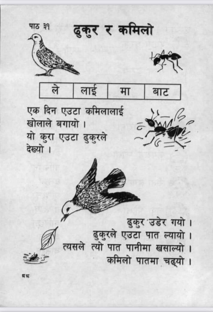 सिकारीले बन्दुकले ढुकुर लाई हान्न लाग्दा कमिलाले सिकारीको खुट्टामा टोक्यो र उसको हातबाट बन्दुक खस्यो।अनि ढुकुर बच्यो । 
“सम्बन्ध होस त ढुकुर र कमिलाको जस्तो” 🙏