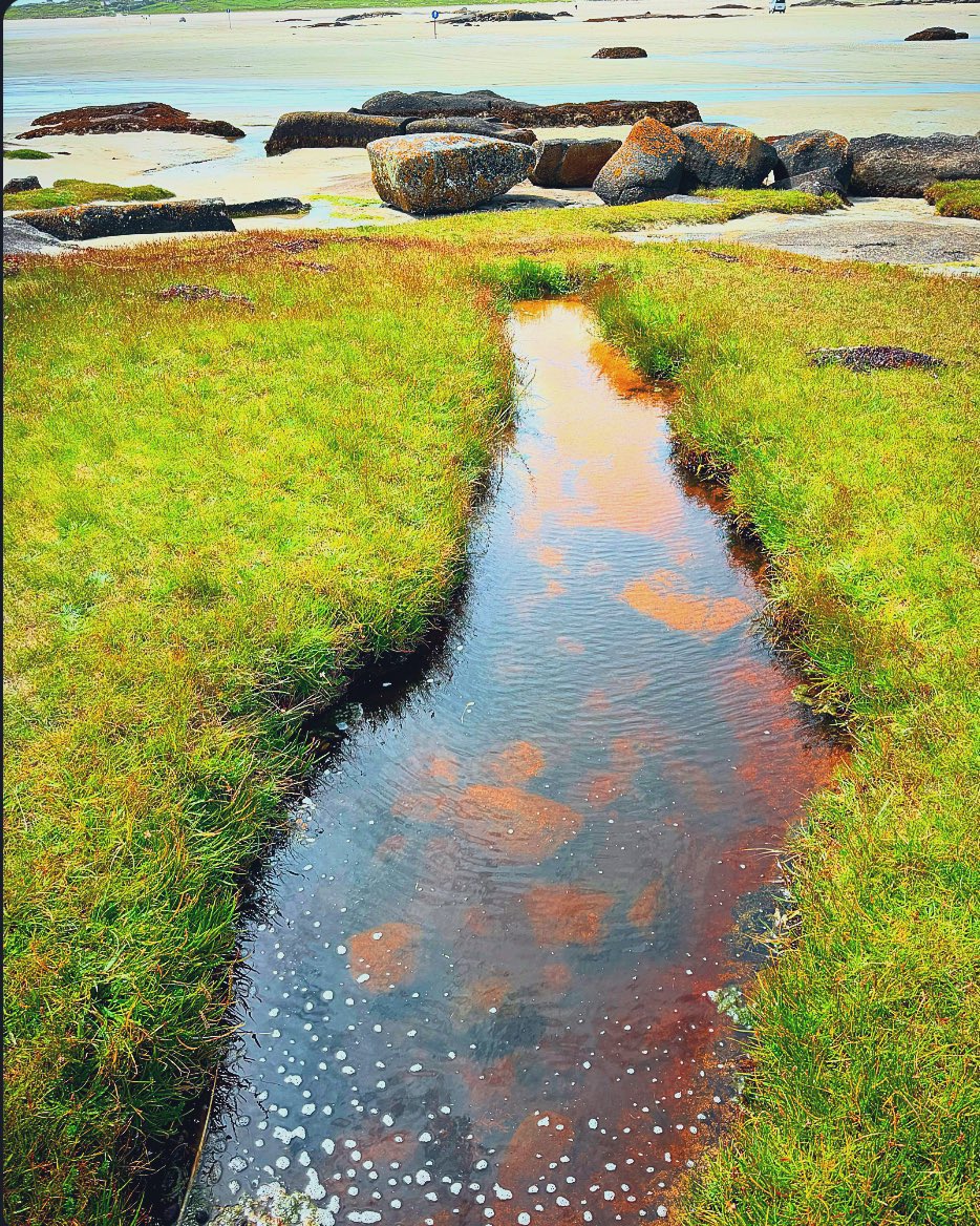 mandevillish's tweet photo. More Connemara scenes
#Omey #Island #Clifden #Galway #west https://t.co/ibfMXhnuYf