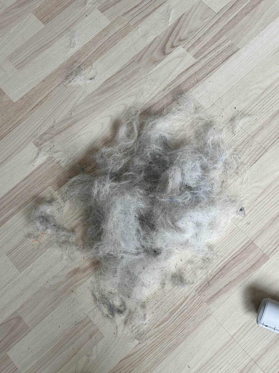 🧡𝐊𝖆𝖙𝖗𝖎𝖓🧡 tweet media