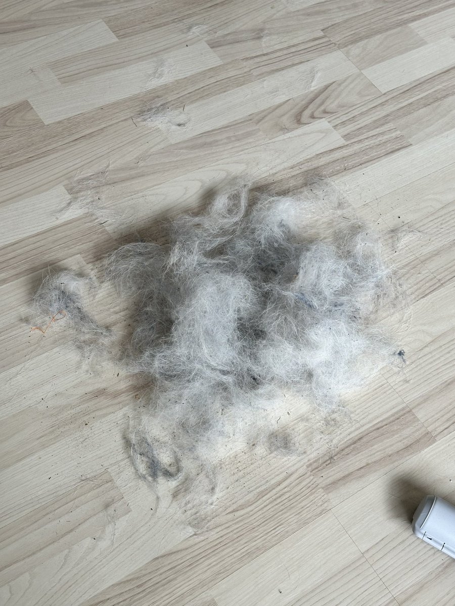 🧡𝐊𝖆𝖙𝖗𝖎𝖓🧡 tweet media