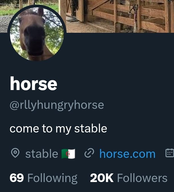 horse tweet media