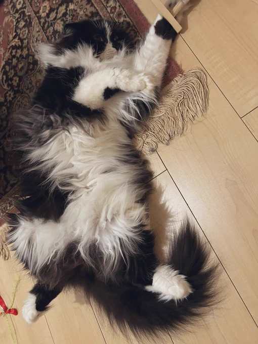 ちょい……ちょい……ってなんか触ってる 