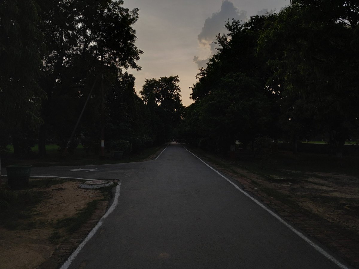 Shristi204's tweet photo. The Road not Taken. https://t.co/rbWcPIb2E9